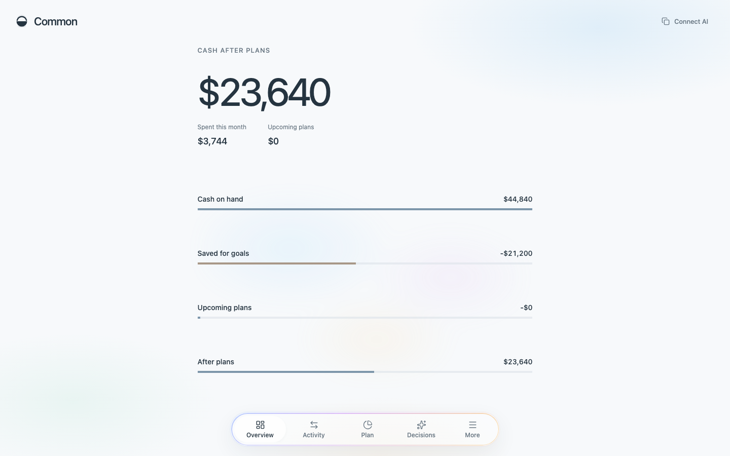 Common overview with cash-flow chart and monthly summary